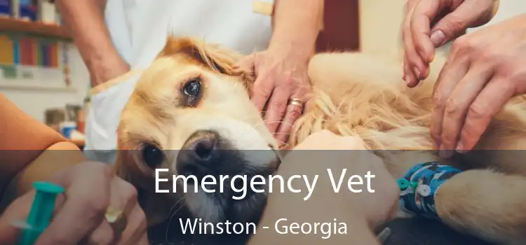 Emergency Vet Winston - Georgia