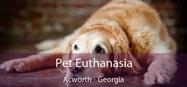 Pet Euthanasia Acworth - Georgia