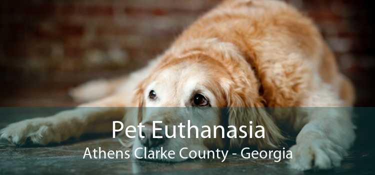 Pet Euthanasia Athens Clarke County - Georgia