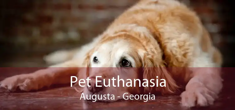 Pet Euthanasia Augusta - Georgia