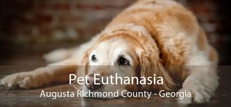 Pet Euthanasia Augusta Richmond County - Georgia