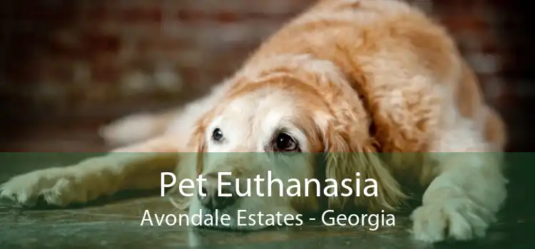 Pet Euthanasia Avondale Estates - Georgia