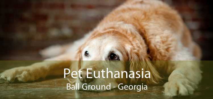 Pet Euthanasia Ball Ground - Georgia