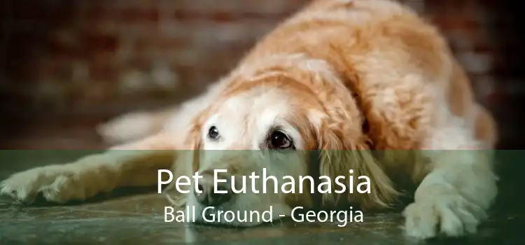Pet Euthanasia Ball Ground - Georgia