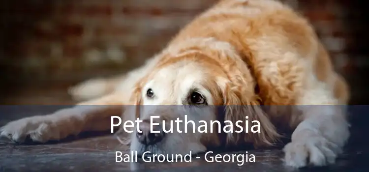 Pet Euthanasia Ball Ground - Georgia