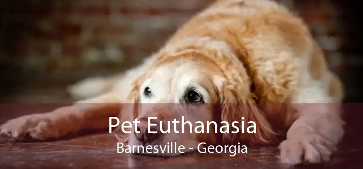 Pet Euthanasia Barnesville - Georgia