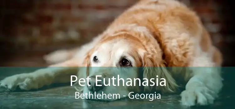 Pet Euthanasia Bethlehem - Georgia