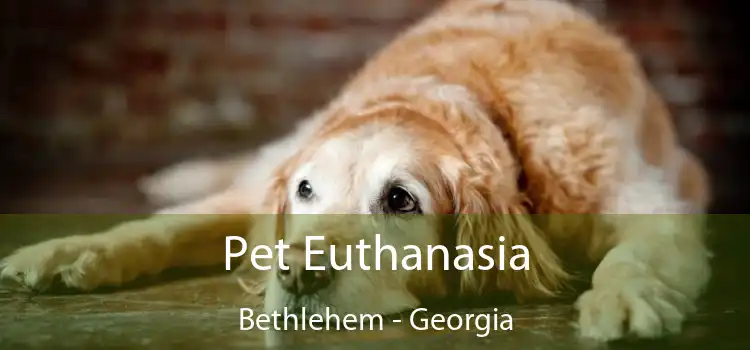 Pet Euthanasia Bethlehem - Georgia