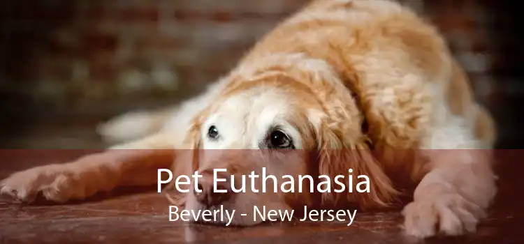 Pet Euthanasia Beverly - New Jersey