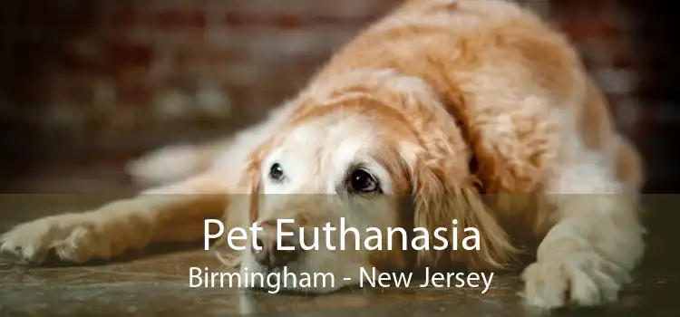 Pet Euthanasia Birmingham - New Jersey