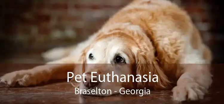 Pet Euthanasia Braselton - Georgia