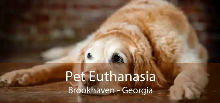 Pet Euthanasia Brookhaven - Georgia
