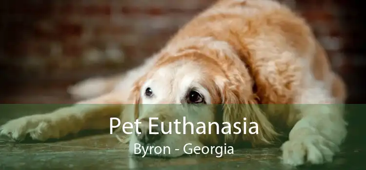 Pet Euthanasia Byron - Georgia