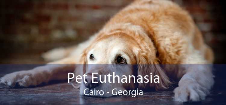 Pet Euthanasia Cairo - Georgia