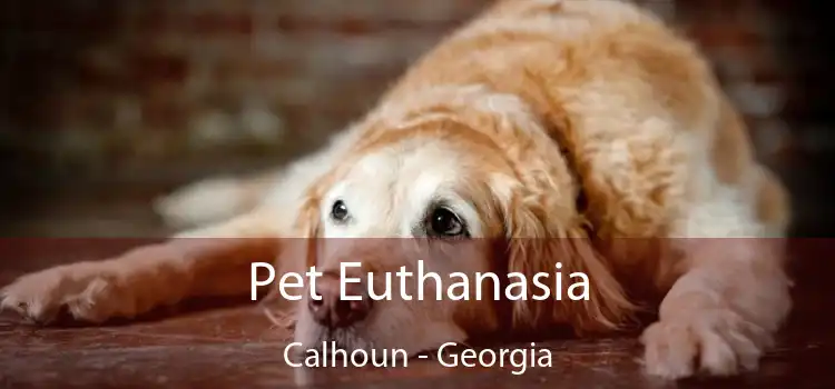 Pet Euthanasia Calhoun - Georgia