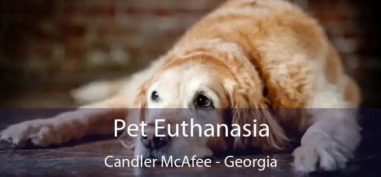 Pet Euthanasia Candler McAfee - Georgia