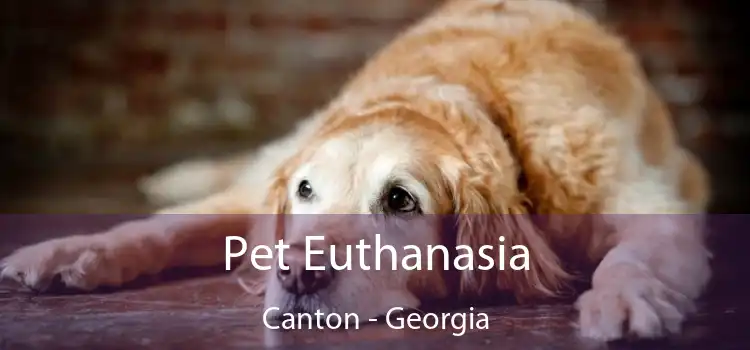 Pet Euthanasia Canton - Georgia