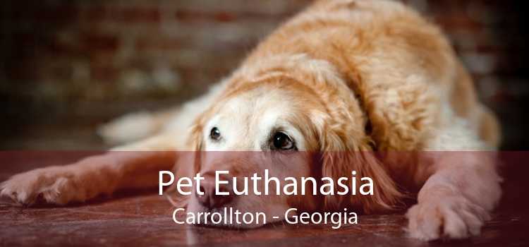Pet Euthanasia Carrollton - Georgia