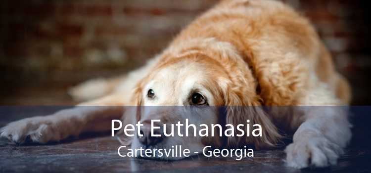Pet Euthanasia Cartersville - Georgia