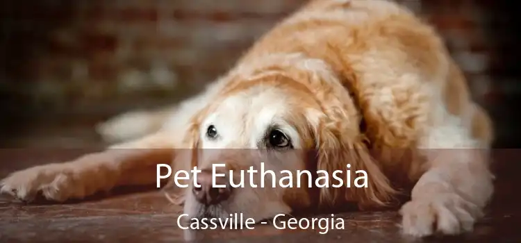 Pet Euthanasia Cassville - Georgia