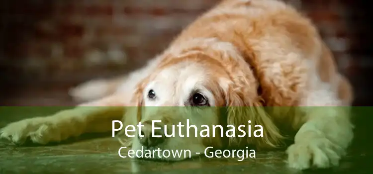 Pet Euthanasia Cedartown - Georgia