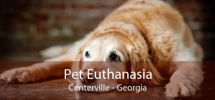 Pet Euthanasia Centerville - Georgia