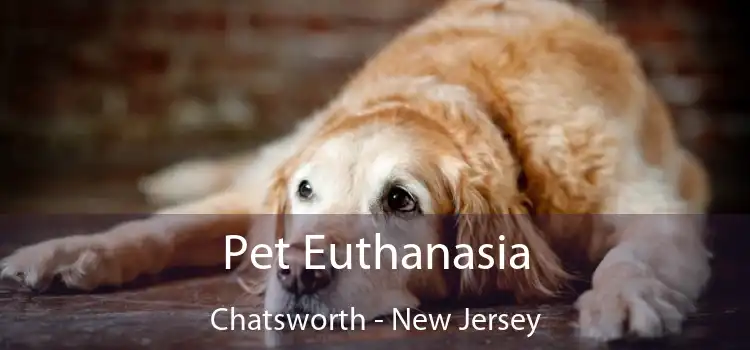 Pet Euthanasia Chatsworth - New Jersey