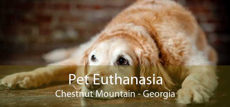 Pet Euthanasia Chestnut Mountain - Georgia
