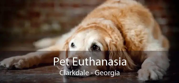 Pet Euthanasia Clarkdale - Georgia