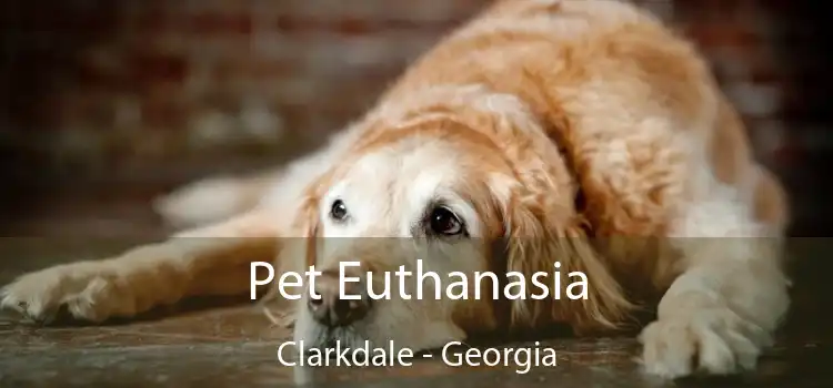 Pet Euthanasia Clarkdale - Georgia