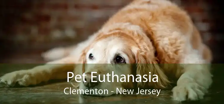 Pet Euthanasia Clementon - New Jersey