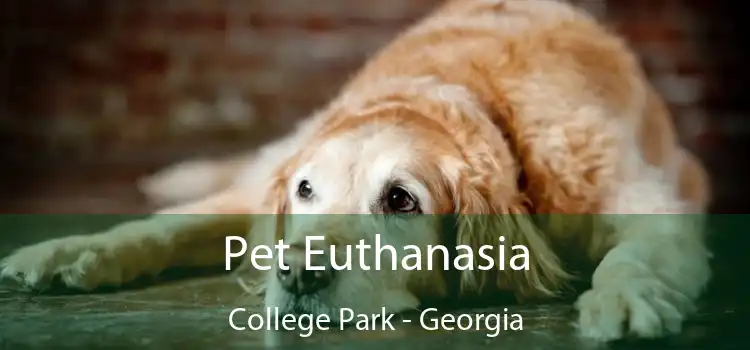 Pet Euthanasia College Park - Georgia