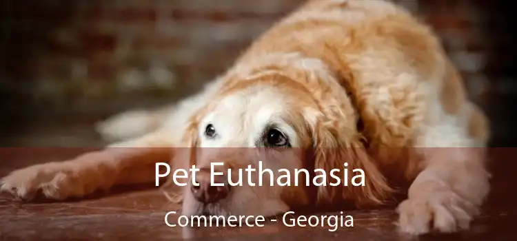 Pet Euthanasia Commerce - Georgia