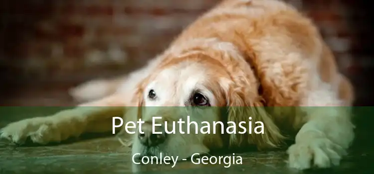 Pet Euthanasia Conley - Georgia