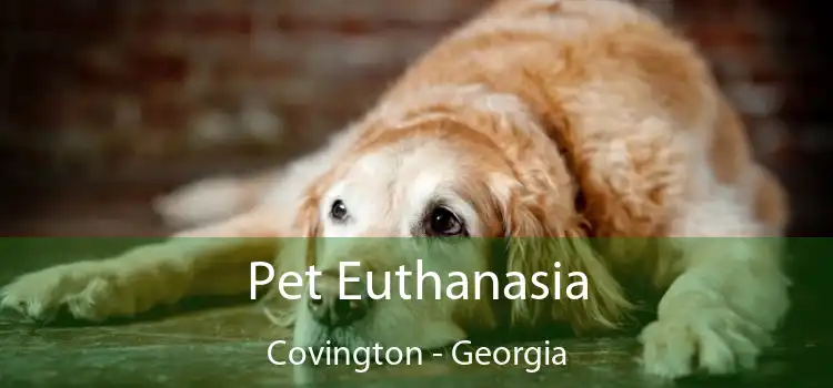 Pet Euthanasia Covington - Georgia