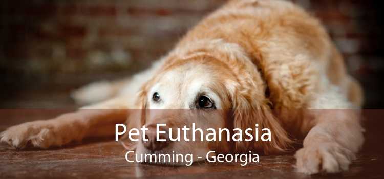 Pet Euthanasia Cumming - Georgia