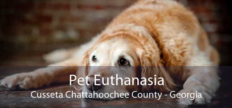 Pet Euthanasia Cusseta Chattahoochee County - Georgia
