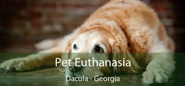 Pet Euthanasia Dacula - Georgia