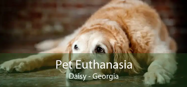 Pet Euthanasia Daisy - Georgia