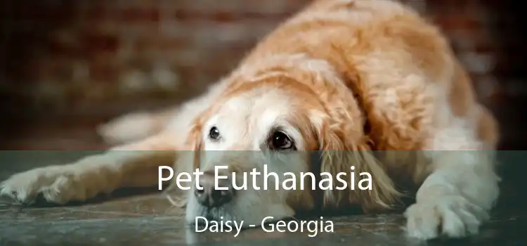 Pet Euthanasia Daisy - Georgia