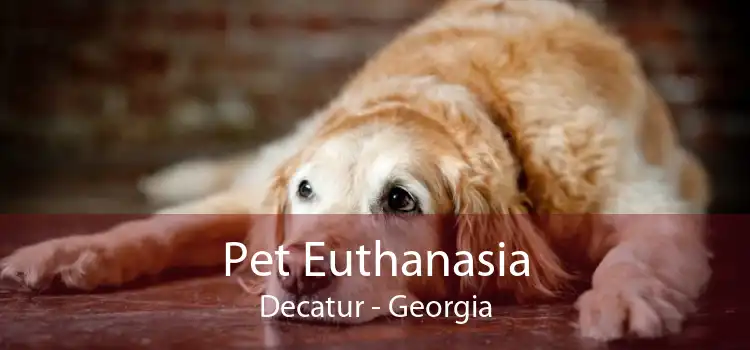 Pet Euthanasia Decatur - Georgia