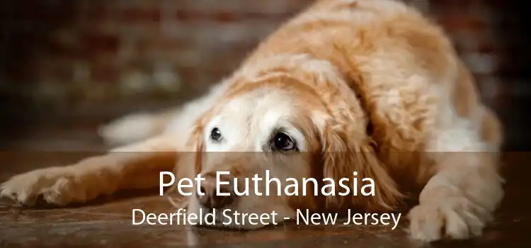 Pet Euthanasia Deerfield Street - New Jersey