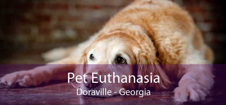 Pet Euthanasia Doraville - Georgia
