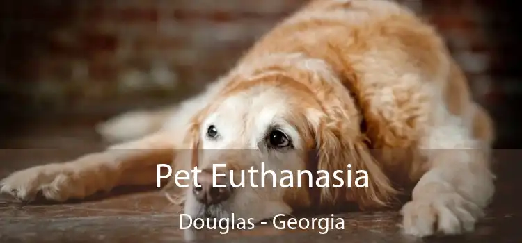 Pet Euthanasia Douglas - Georgia