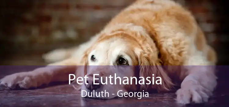 Pet Euthanasia Duluth - Georgia