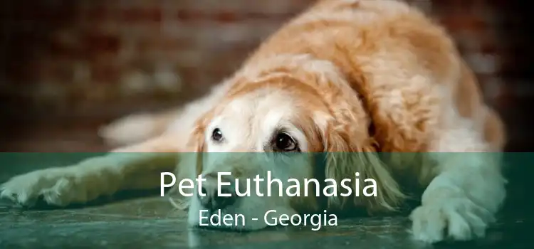 Pet Euthanasia Eden - Georgia