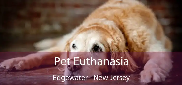 Pet Euthanasia Edgewater - New Jersey