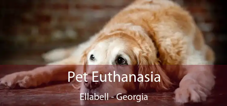 Pet Euthanasia Ellabell - Georgia