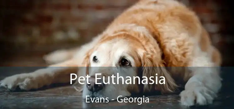 Pet Euthanasia Evans - Georgia