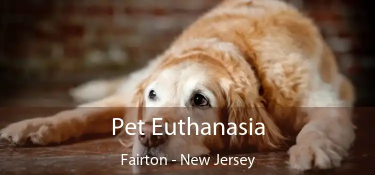 Pet Euthanasia Fairton - New Jersey